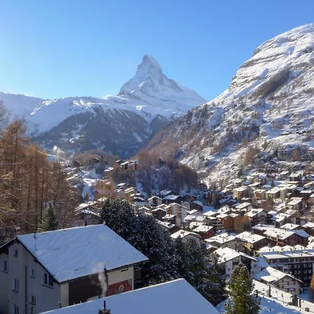 Birken Zermatt