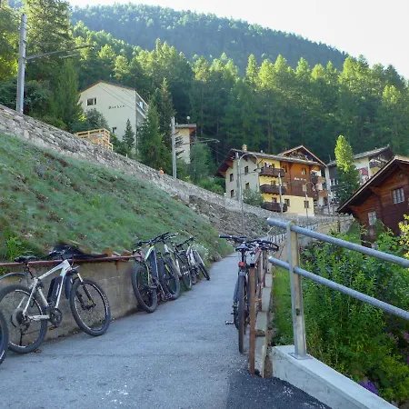 Birken By Interhome Appartamento Zermatt