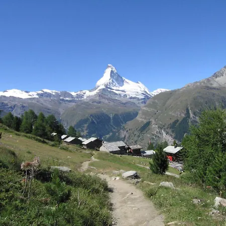 Birken Zermatt